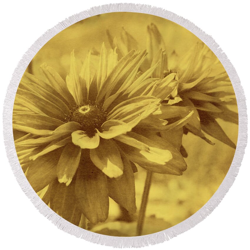 Daisy Round Beach Towel featuring the photograph Daisies From Yesterday by Smilin Eyes Treasures