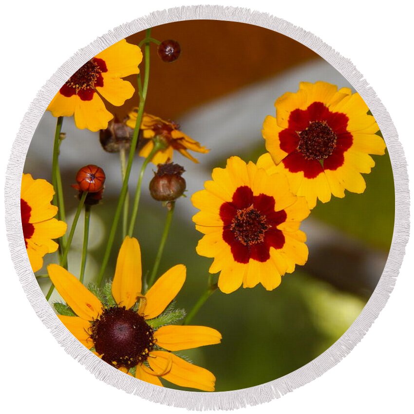 Flower Flora Still-life Gardening Arrangements Yellow Brownish- Red Stain Glass Window Background Daisy Buds Bloom Green Leaves Orange And Green Stained Glass Nature Floral Photography By Jan Gelders Floral Decor Interior Design Accent Round Beach Towel featuring the photograph Daisy Delights by Jan Gelders