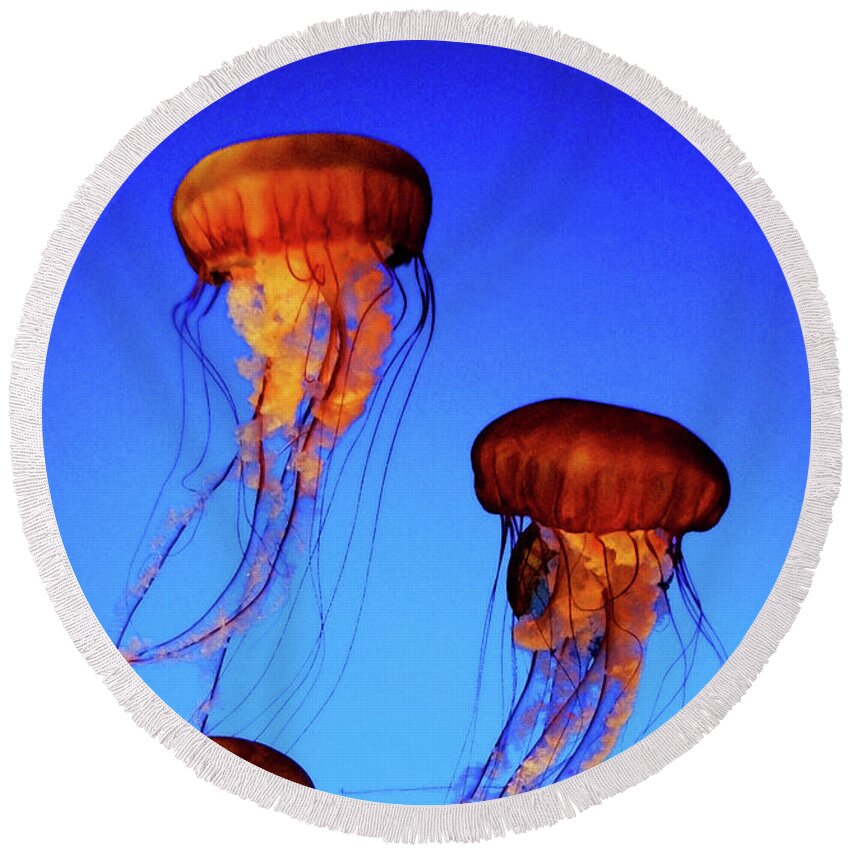 Jellyfish Round Beach Towel featuring the photograph Dancing Jellyfish by Anthony Jones