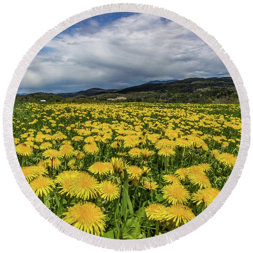 Flowers Round Beach Towel featuring the photograph Dandelion Fields by Tim Kirchoff