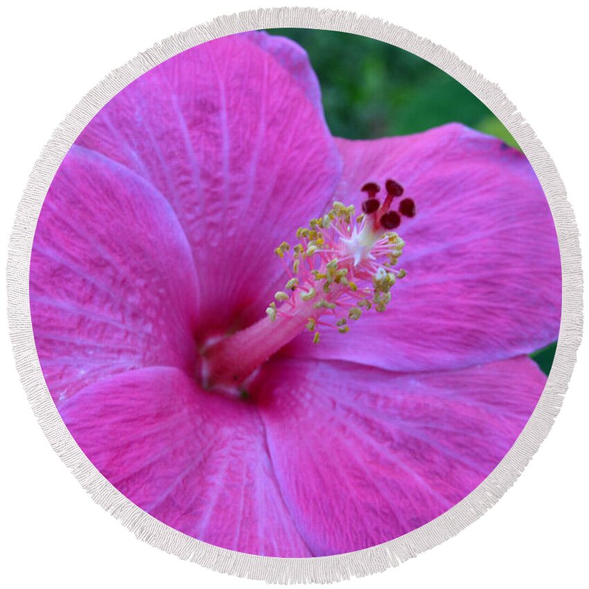 Flower Round Beach Towel featuring the photograph Dark Pink Hibiscus by Amy Fose