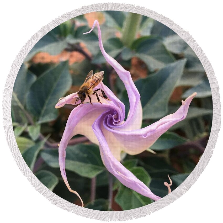 Datura Round Beach Towel featuring the painting Datura Buzz by Rebecca Weeks