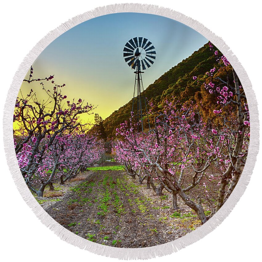 Landscape Round Beach Towel featuring the photograph Dawn In The Orchard by Mimi Ditchie