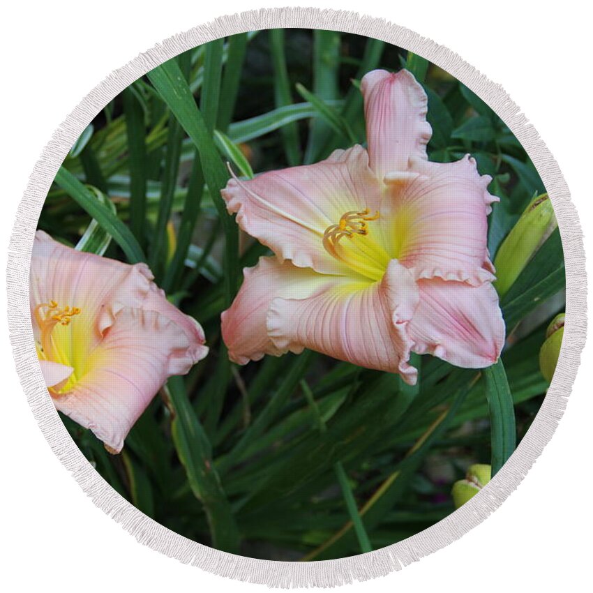 Flower Round Beach Towel featuring the photograph Daylilies by Allen Nice-Webb