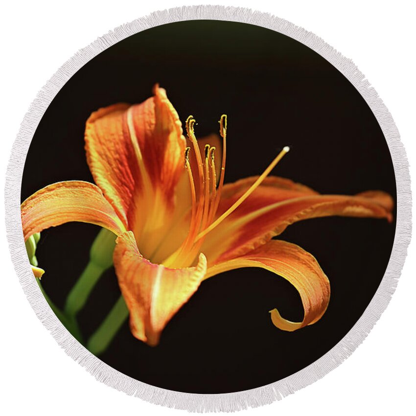 Lilies Round Beach Towel featuring the photograph Day Lily by Theresa Campbell