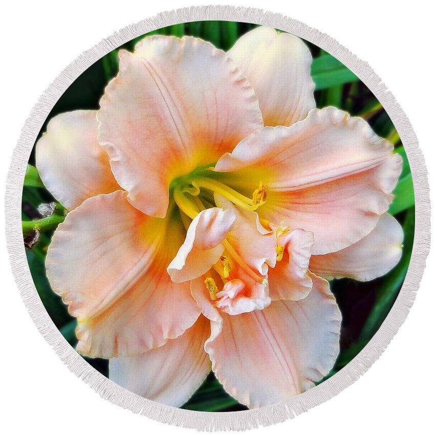 Lily Round Beach Towel featuring the photograph Daylily Dream by Sue Melvin