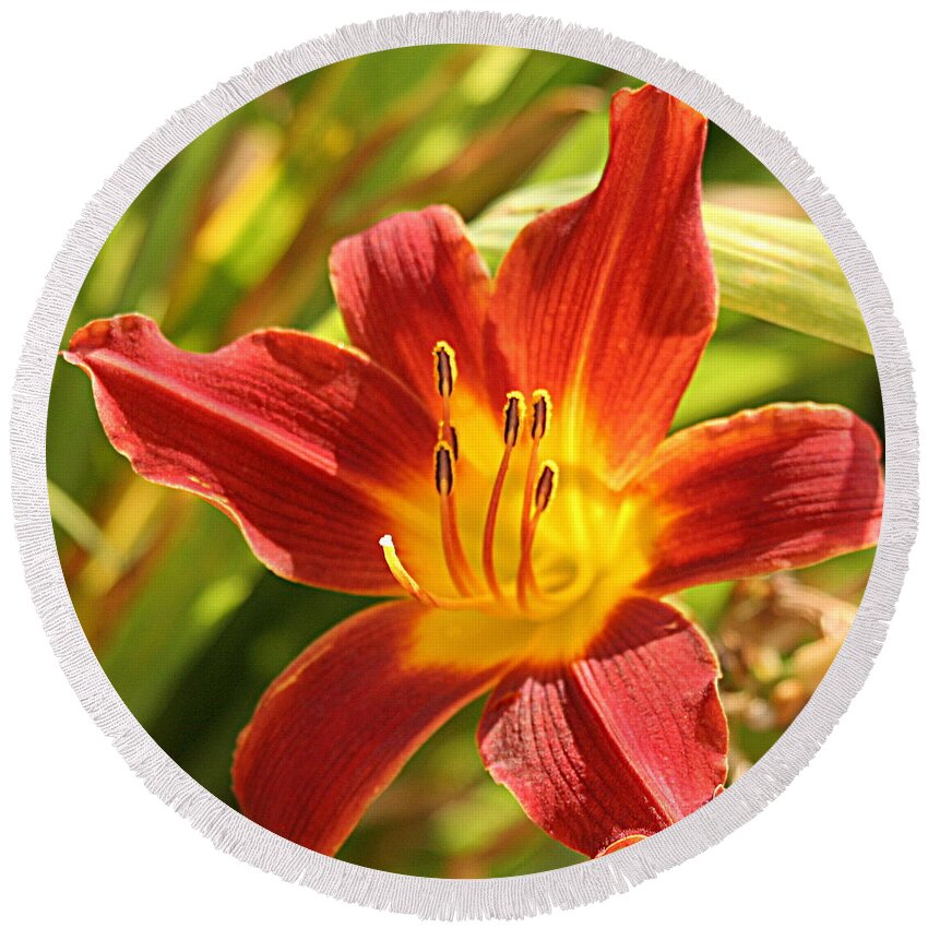 Flower Round Beach Towel featuring the photograph Daylily by Jean Macaluso