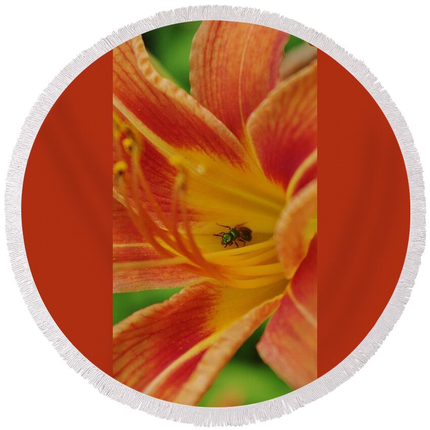 Ant Round Beach Towel featuring the photograph Daylily With a Green Ant by Lori Kingston