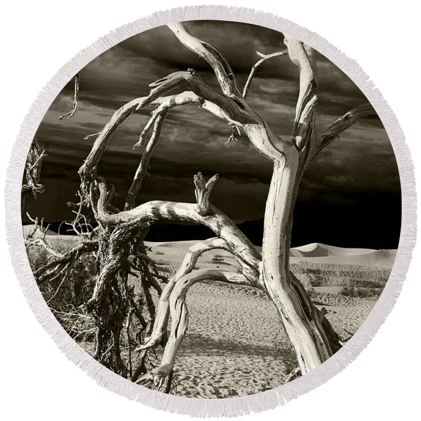 Death Valley Round Beach Towel featuring the photograph Dead tree in Death Valley 13 by Micah May