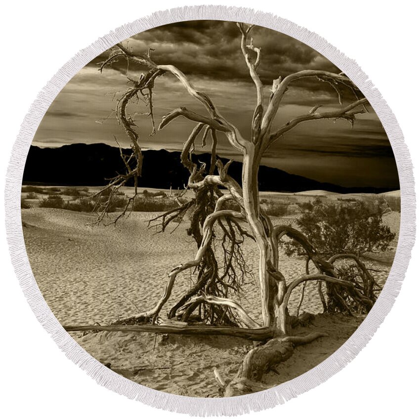 Death Valley Round Beach Towel featuring the photograph Dead tree in Death Valley 5 by Micah May