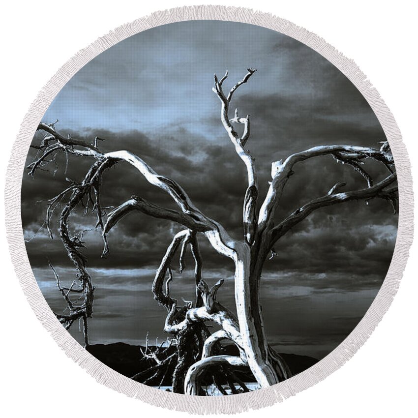 Death Valley Round Beach Towel featuring the photograph Dead tree in Death Valley 9 by Micah May