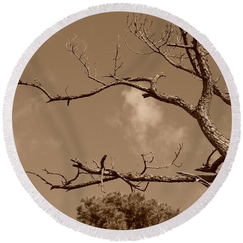 Sepia Round Beach Towel featuring the photograph Dead Wood by Rob Hans