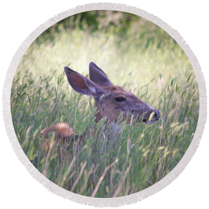 Deer Round Beach Towel featuring the photograph Deer in Grass Two by Veronica Batterson