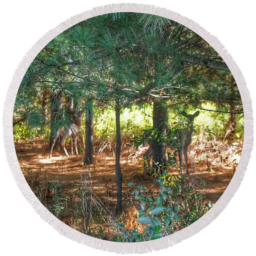 Deer Round Beach Towel featuring the photograph 1011 - Deer of Croswell I by Sheryl L Sutter