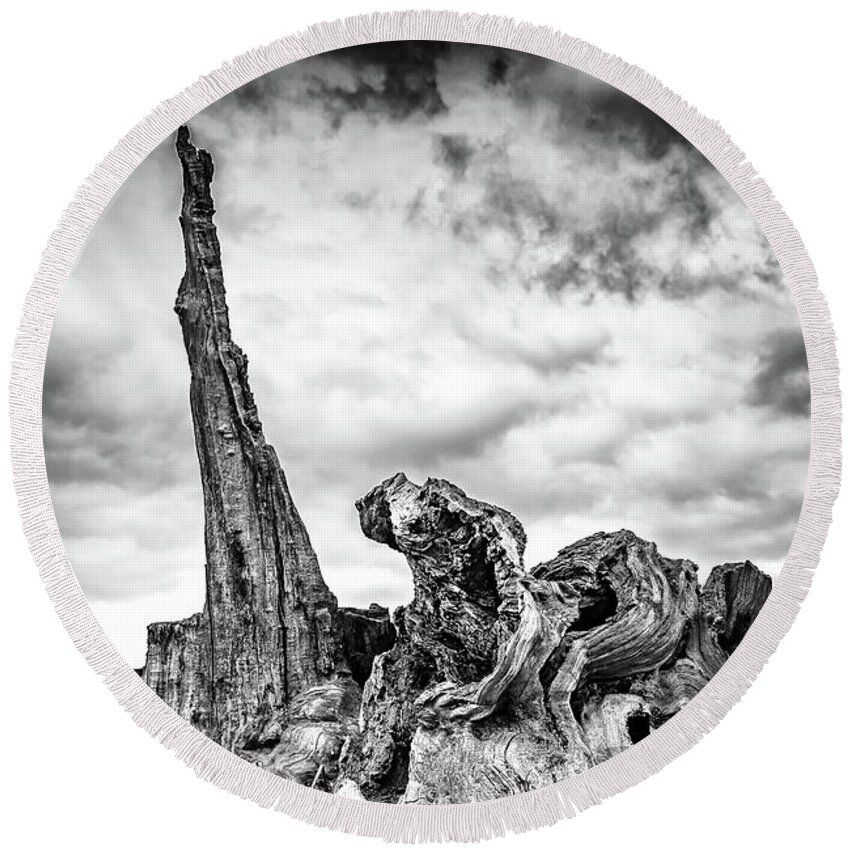 Tree Round Beach Towel featuring the photograph Defiance by Nick Bywater