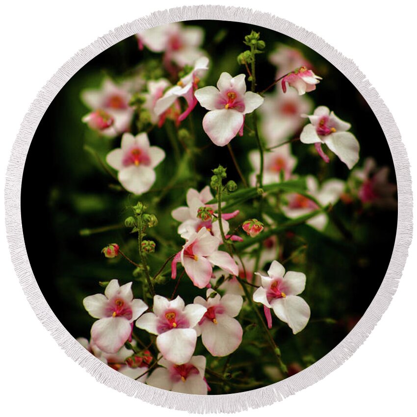 Delicate Flowers Round Beach Towel featuring the photograph Delicate Flowers 3738 H_2 by Steven Ward