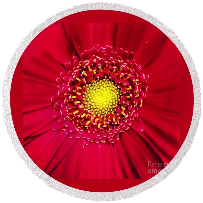 Flower Round Beach Towel featuring the photograph Depth by Denise Railey