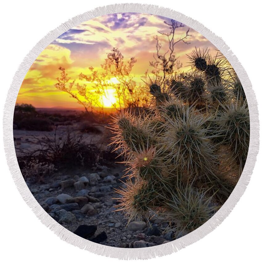 Art Round Beach Towel featuring the photograph Desert Cactus by Chris Tarpening