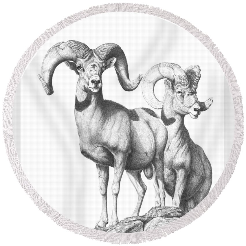 Desert Bighorn Rams Round Beach Towel featuring the drawing Desert Sentinels by Darcy Tate