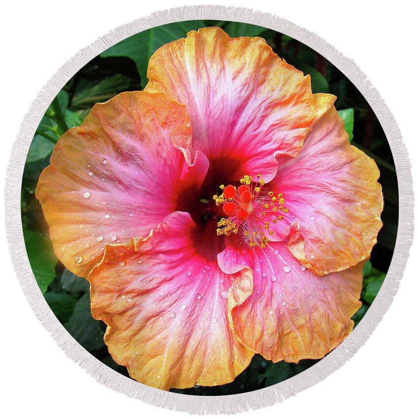 Hibiscus Round Beach Towel featuring the photograph Dew-Kissed Hibiscus by Sue Melvin