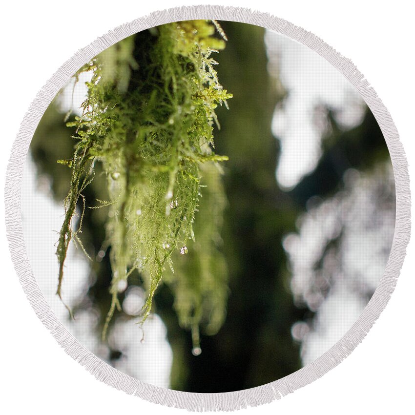 Dew Round Beach Towel featuring the photograph Dewy Moss by Trance Blackman