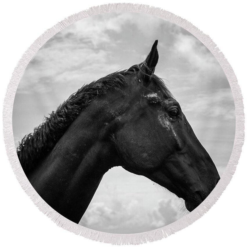 Horses Round Beach Towel featuring the photograph Dirty But Dignified by Aleck Cartwright