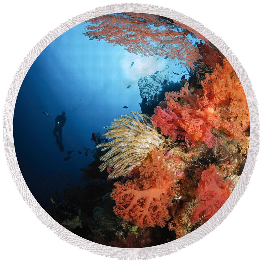 Crinoid Round Beach Towel featuring the photograph Diver Swims By A Soft Coral Reef by Todd Winner