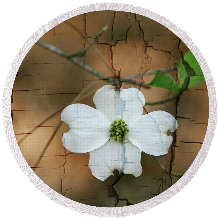 Dogwood Round Beach Towel featuring the photograph Dogwood Bloom by Cathy Harper