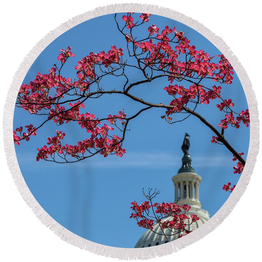 City Round Beach Towel featuring the photograph Dogwood Over The Capitol by Jonathan Nguyen