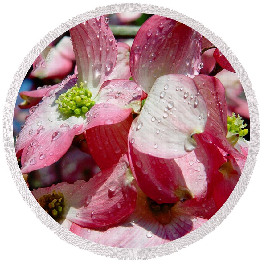 Spring Fling Round Beach Towel featuring the photograph Dogwood by Sami Martin
