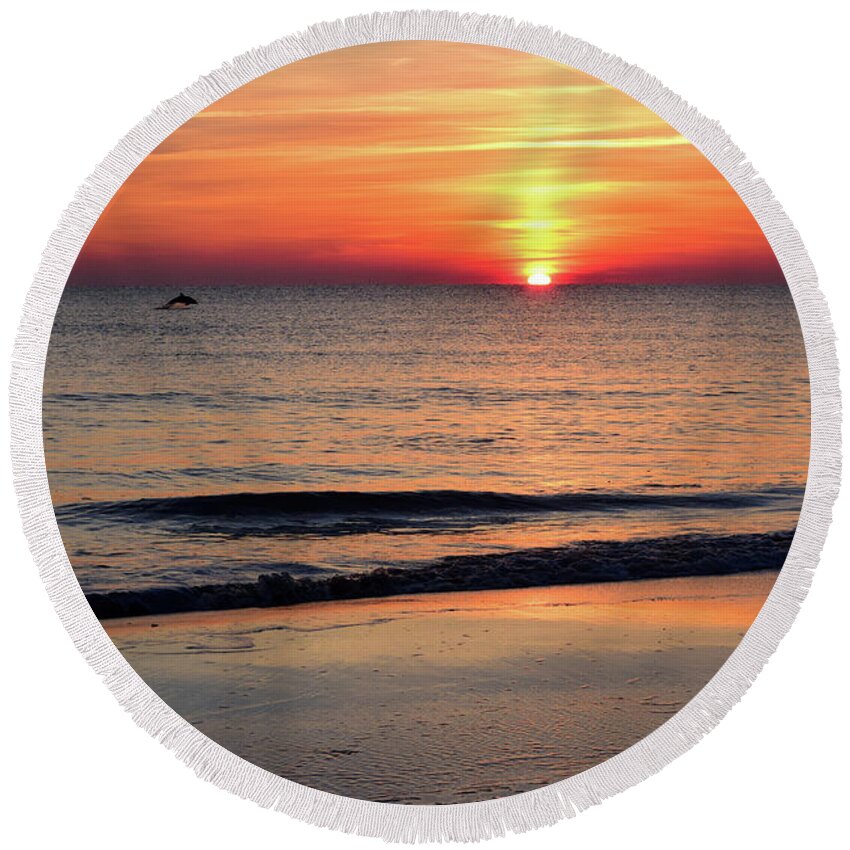 Dolphin Round Beach Towel featuring the photograph Dolphin Jumping in the Sunrise by Nicole Lloyd