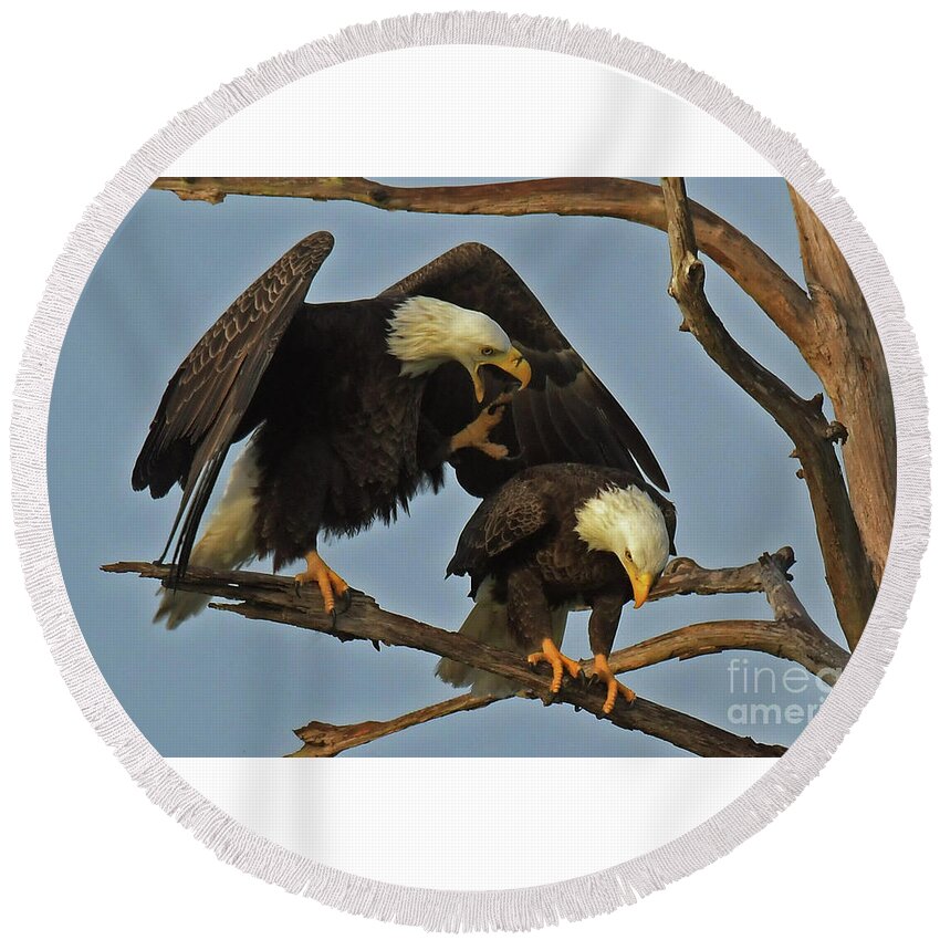 Bald Eagles Round Beach Towel featuring the photograph Dominant Harriet by Liz Grindstaff
