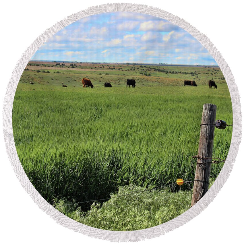 Nebraska Round Beach Towel featuring the photograph Don't Fence Me In by Sylvia Thornton