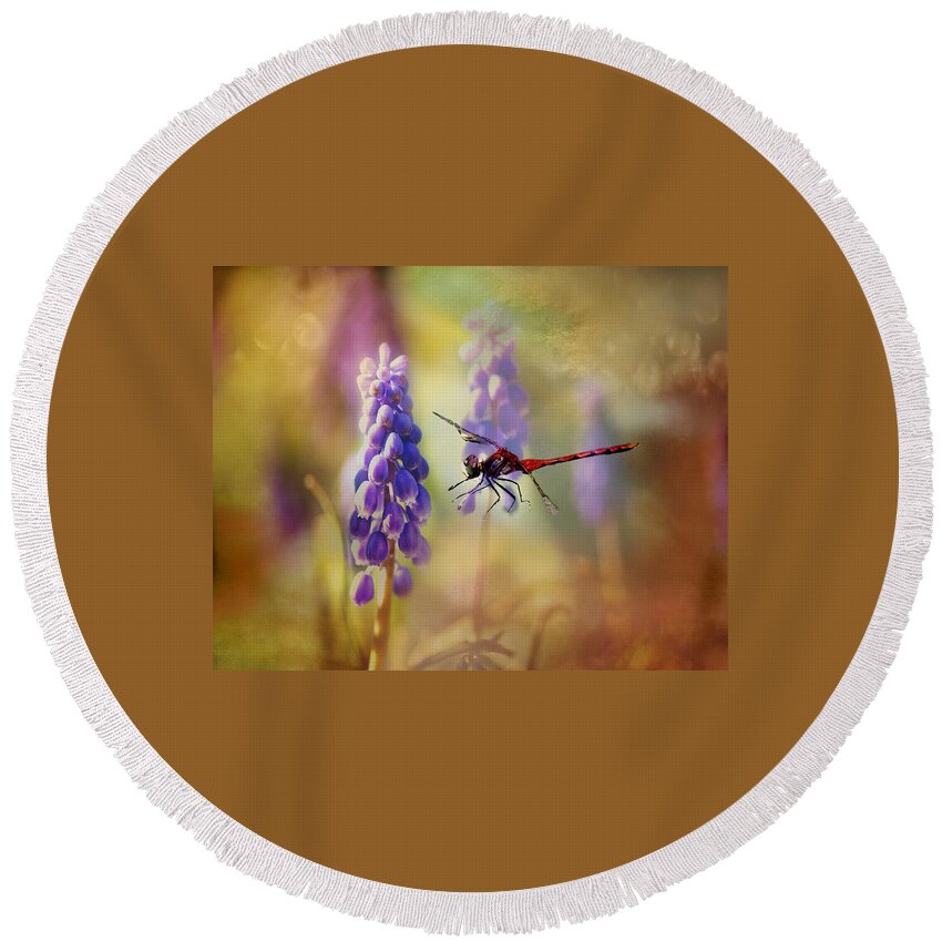 Dragonfly Photo Round Beach Towel featuring the photograph Dragonfly thru the Hyacinths Print by Gwen Gibson