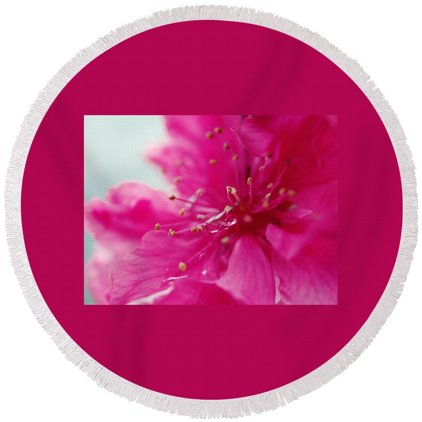 Cherry Blossom Round Beach Towel featuring the photograph Dreaming in Pink by Yuka Kato