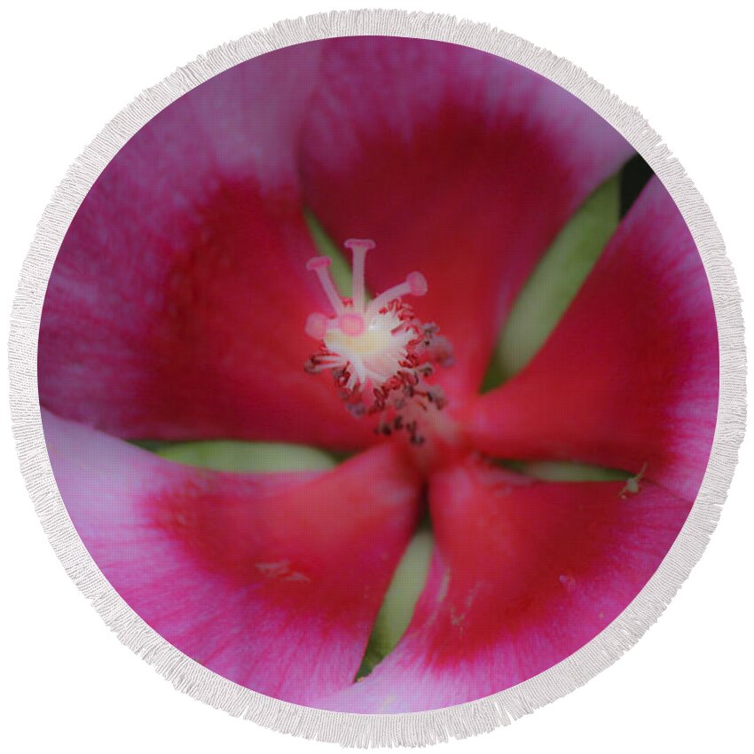 Hibiscus Round Beach Towel featuring the photograph Dreamy Hibiscus by Teresa Mucha