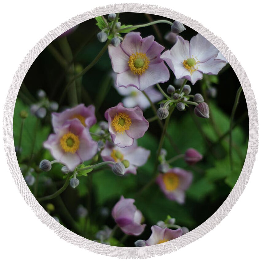 Dreamy Round Beach Towel featuring the photograph Dreamy Japanese Anemone by Perry Rodriguez