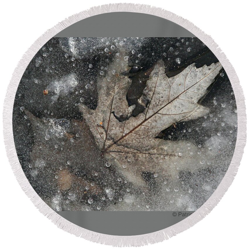 Leaf Round Beach Towel featuring the photograph Dreamy Leaves-VIII by Patricia Overmoyer