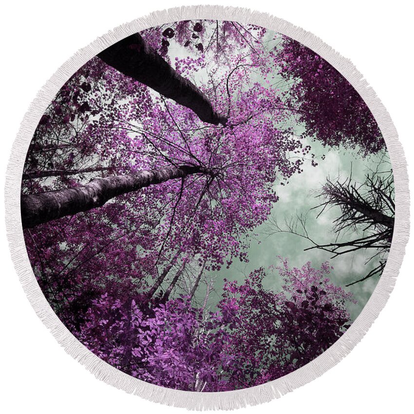 Tinted Trees Round Beach Towel featuring the photograph Drifting by Mike Eingle