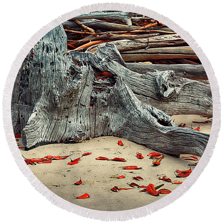 Driftwood Round Beach Towel featuring the photograph Driftwood IV by Andrei SKY
