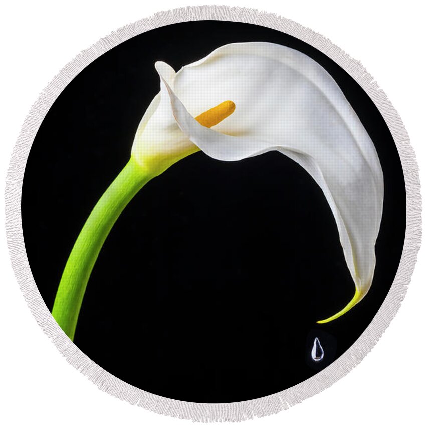 Graphic Round Beach Towel featuring the photograph Dripping Calla Lily by Garry Gay