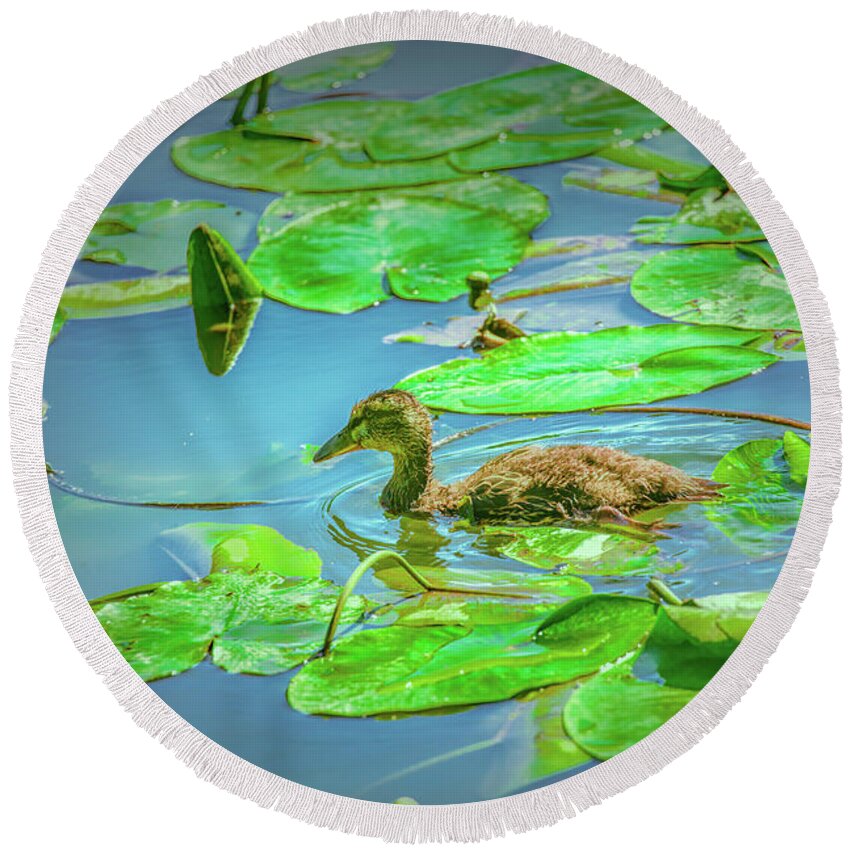 Duck Round Beach Towel featuring the photograph Duckling In The Green. by Leif Sohlman
