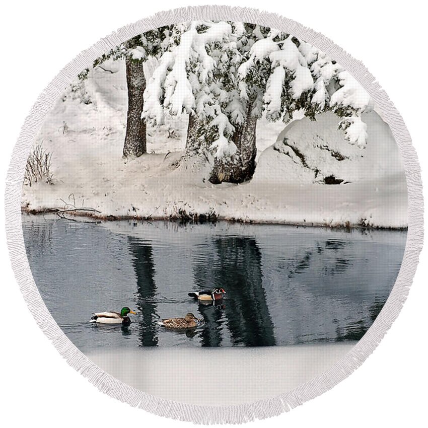 Mallard Duck Print Round Beach Towel featuring the photograph Ducks on a Pond Print by Gwen Gibson
