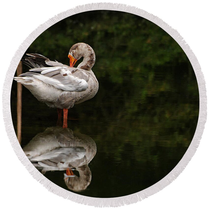 African Goose Round Beach Towel featuring the photograph Duo by Lorenzo Cassina