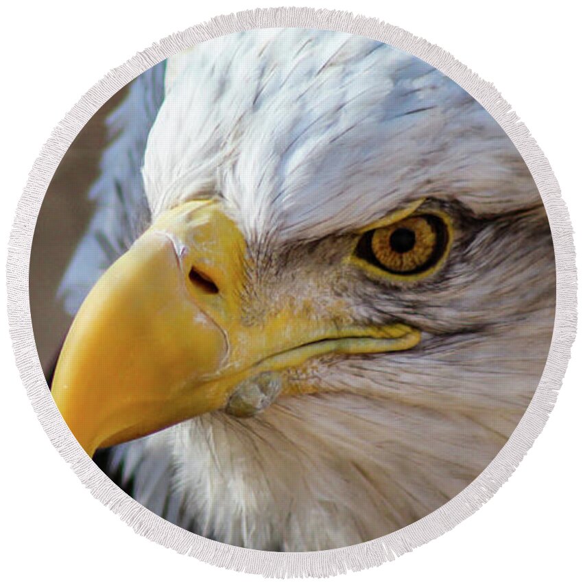 Bald Eagle Round Beach Towel featuring the photograph Eagle Eye by Holly Ross