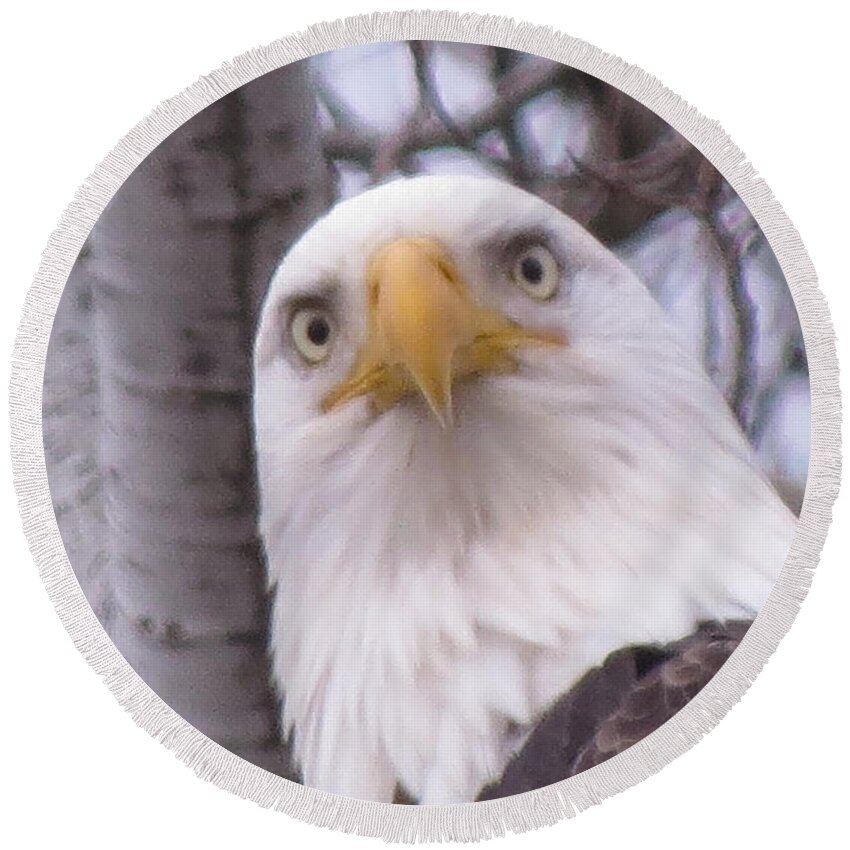 Photograph Round Beach Towel featuring the photograph Eagle Eyes by Mary Mikawoz