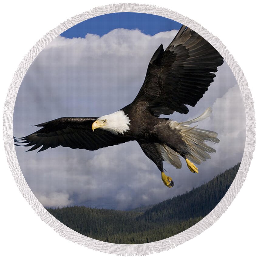 Afternoon Round Beach Towel featuring the photograph Eagle Flying in Sunlight by John Hyde - Printscapes
