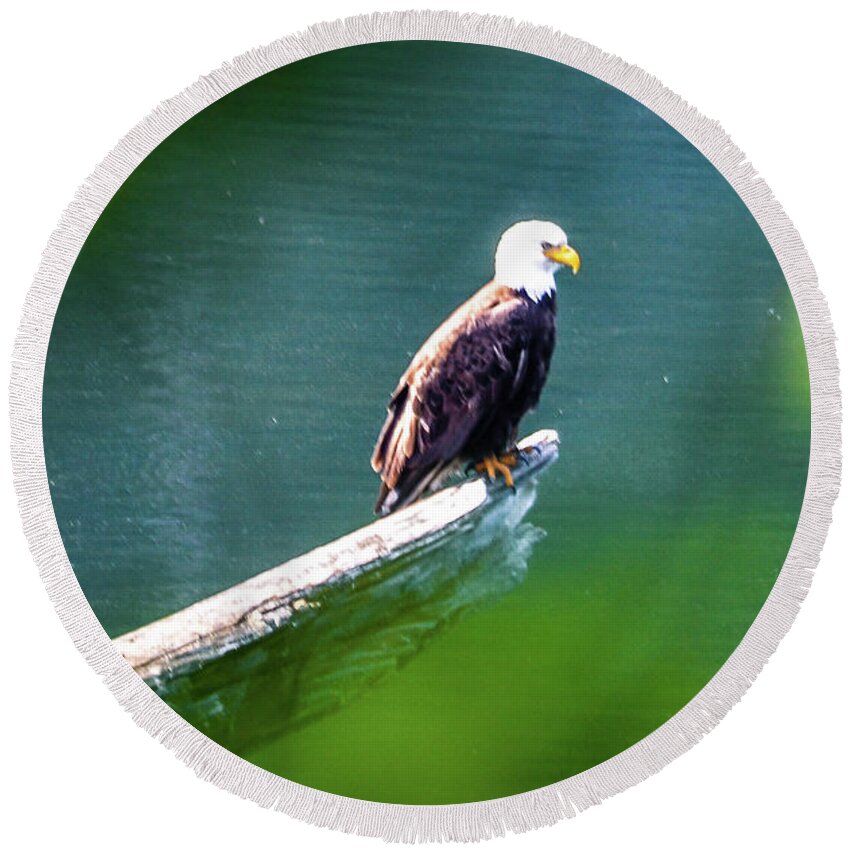 Eagle Round Beach Towel featuring the photograph Eagle in Lake by Chuck Brown