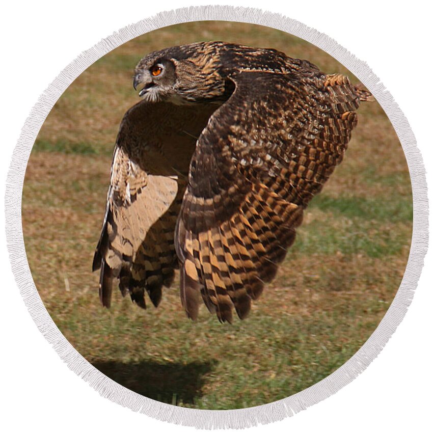 Wildlife Round Beach Towel featuring the photograph Eagle Owl On the Hunt 2 by William Selander