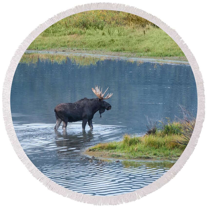 Grand Teton National Park Round Beach Towel featuring the photograph Early Morning Crossing in Grand Teton by Sandra Bronstein